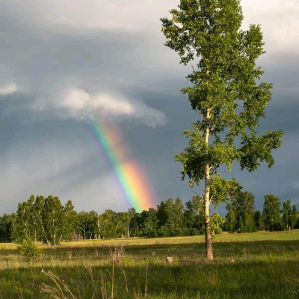 Иконка канала По степным просторам🎣