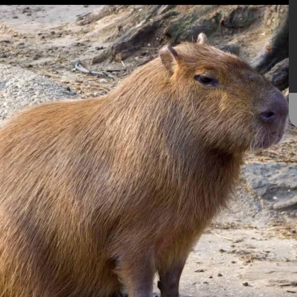 Иконка канала channel56102720