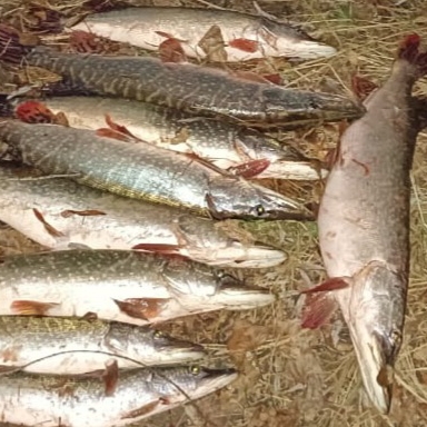 Иконка канала Атмосфера Южного Урала!