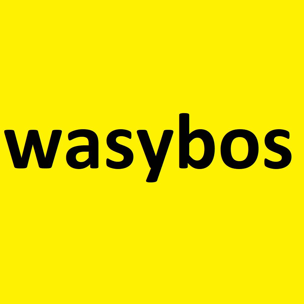 Иконка канала wasybos