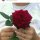 Иконка канала Fina🌹
