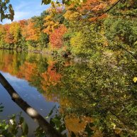Иконка канала Николай Жуков-песни, музыка, и путешествия