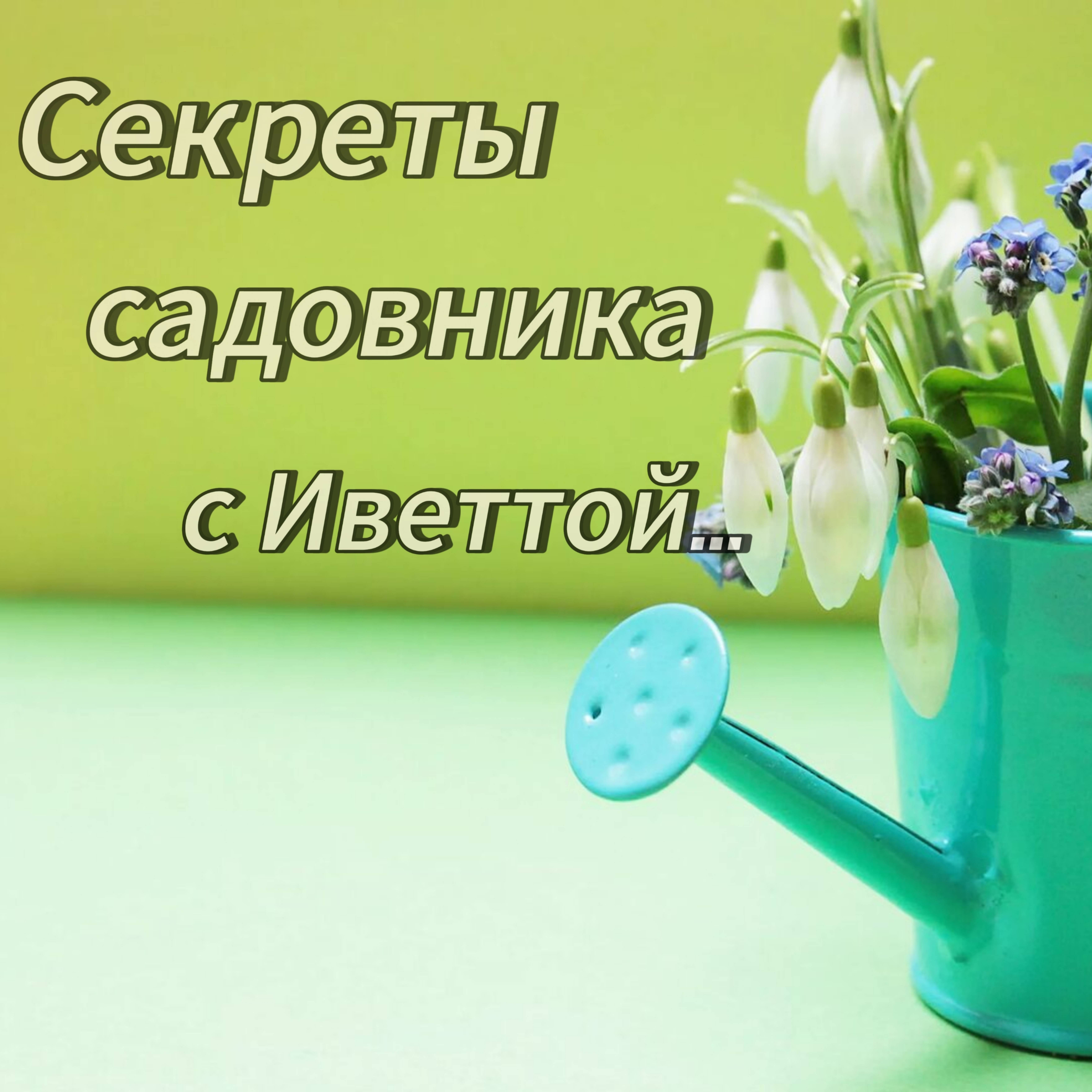 Иконка канала Секреты Садовника