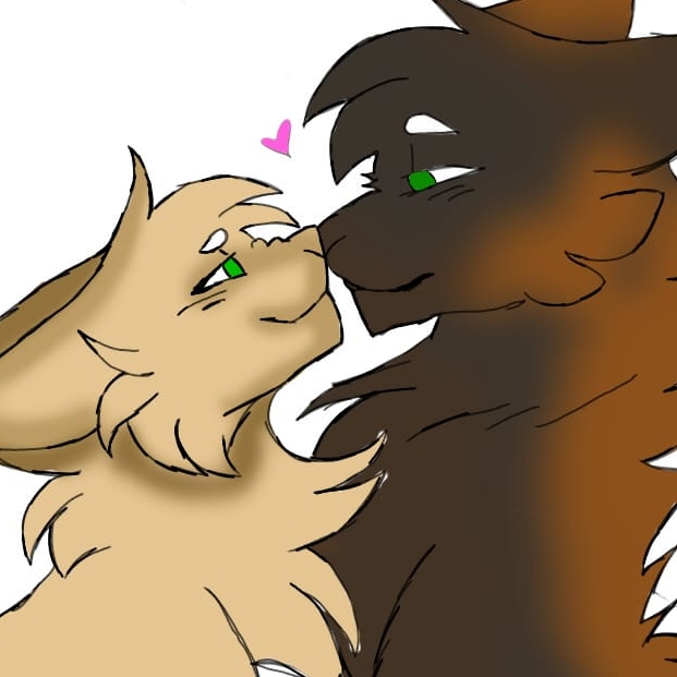 Иконка канала channel56568048