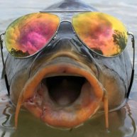 Иконка канала Дикая Рыбалка и другое 🐠🐋🐟