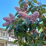 Иконка канала Все Гениальное Просто