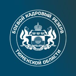 Иконка канала Боевой кадровый резерв Тюменской области