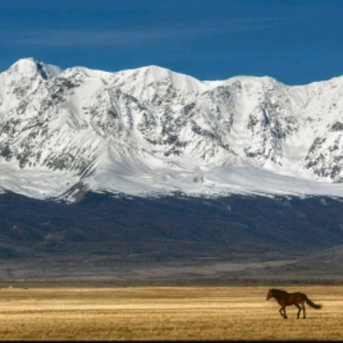 Иконка канала Автоэлектрик 04