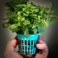 Иконка канала ABSLLC