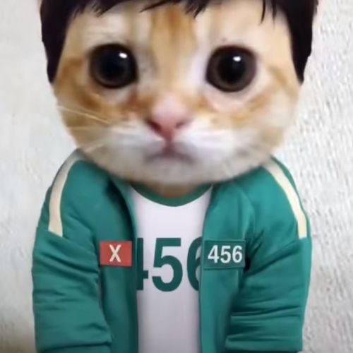 Иконка канала 456