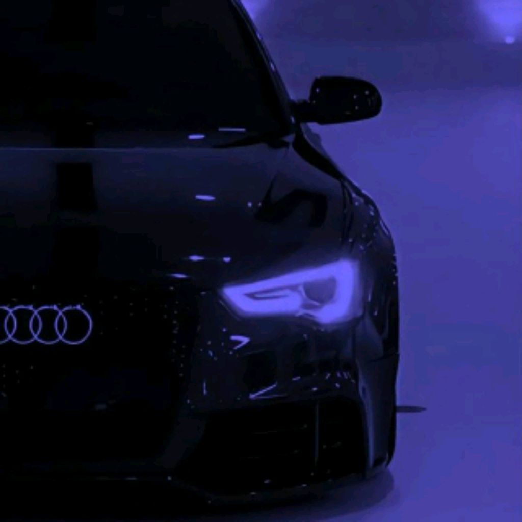 Иконка канала 𝚂𝚊𝚗𝚢𝚊