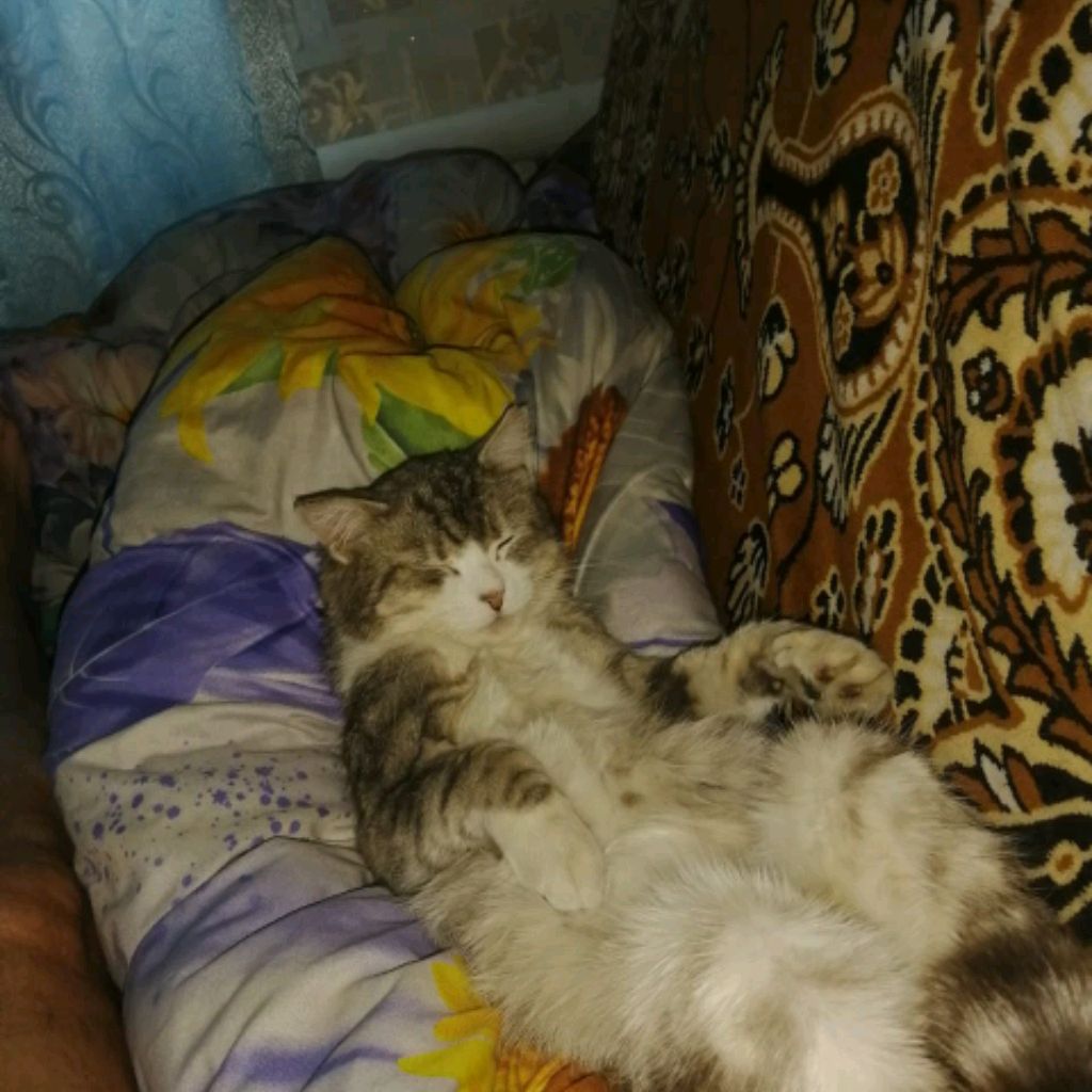 Аватар