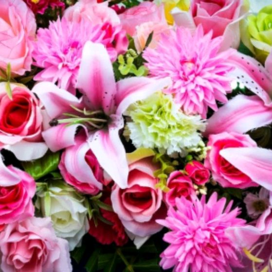 Иконка канала Елена Устинова