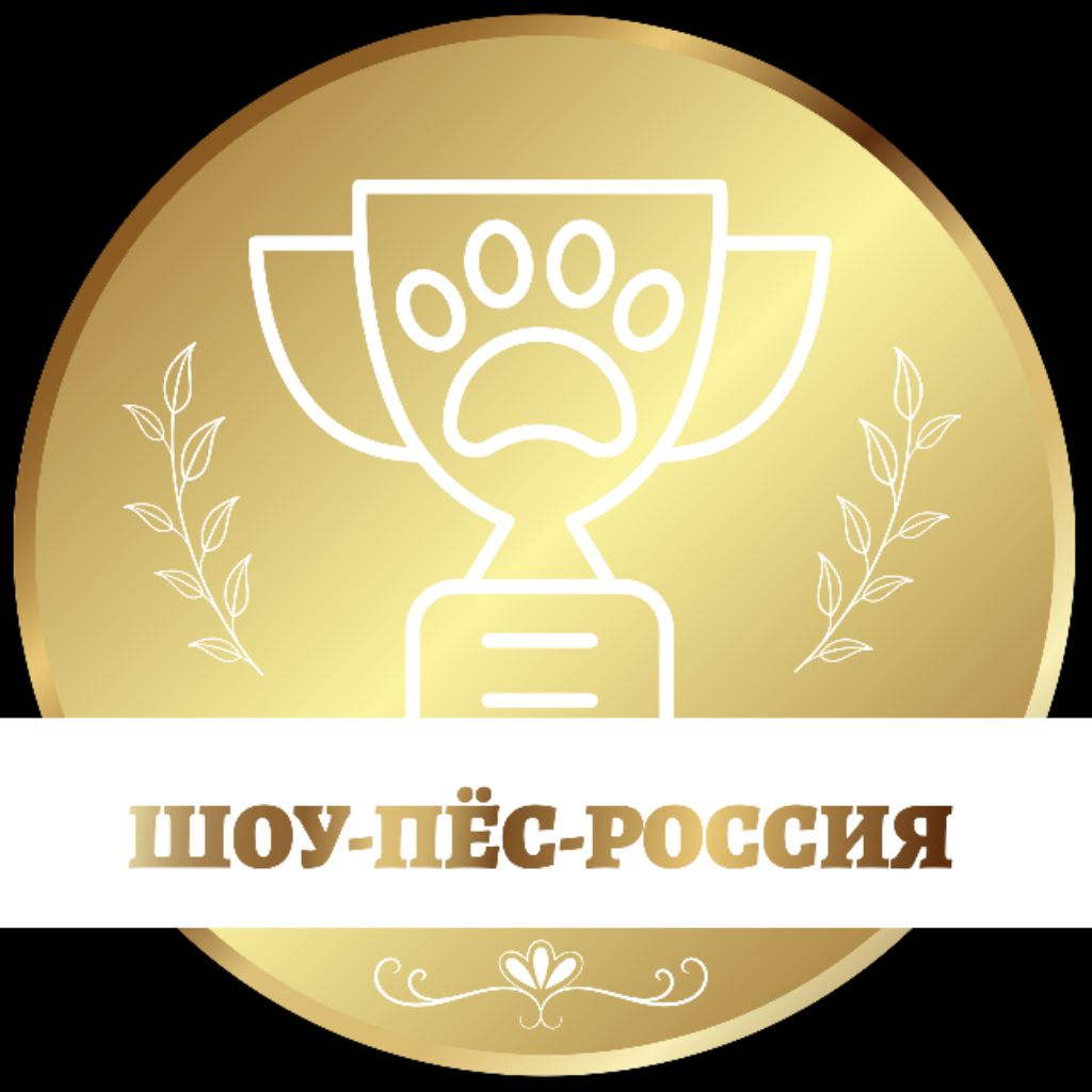 Иконка канала ШОУ-ПЁС-РОССИЯ
