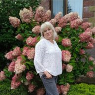 Иконка канала Елена Фокина .Сетевичка в найме.✍️