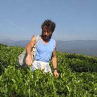 Иконка канала Гутиев Чай