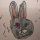Иконка канала Rabbit`s Birthday