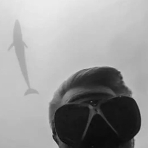 Иконка канала MYDIVING