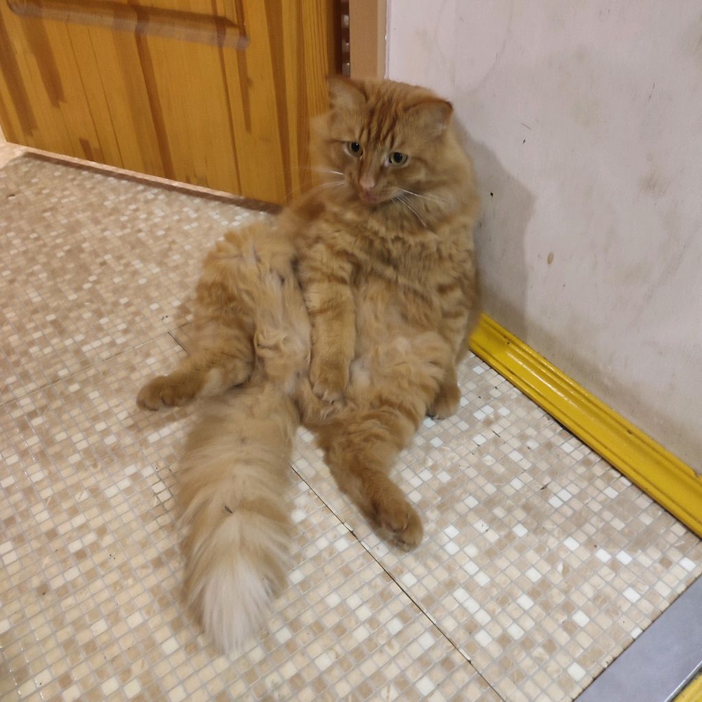 Иконка канала Vodka Style