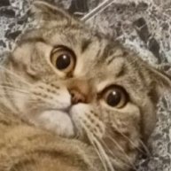 Иконка канала TishaAndAlexa