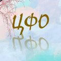 Иконка канала Центр Функционального Образования