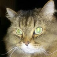 Иконка канала Минутка для шутки