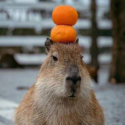 Иконка канала AbramkinAB