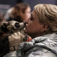 Иконка канала Душа Енота