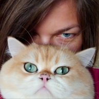 Иконка канала Minilion