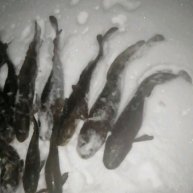 Иконка канала НА ПРИРОДУ ➡️ С УДОВОЛЬСТВИЕМ!