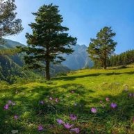 Иконка канала Страницы жизни