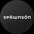 Иконка канала Spawnson.ru