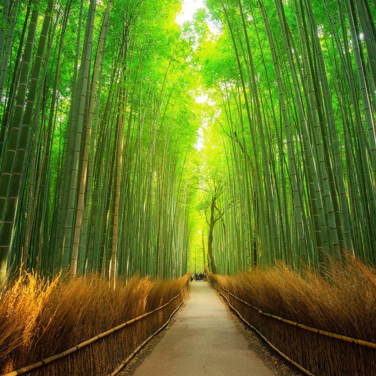 Иконка канала Fan-Tes