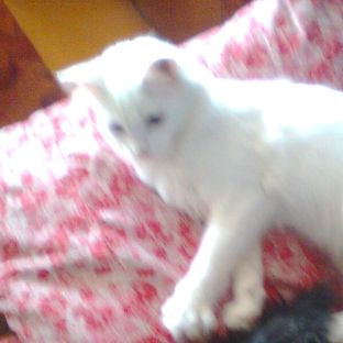 Иконка канала channel59723161