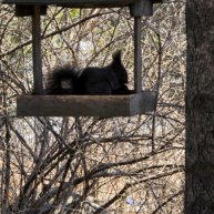 Иконка канала Ира Бутко