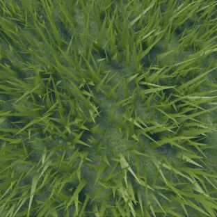 Иконка канала трава