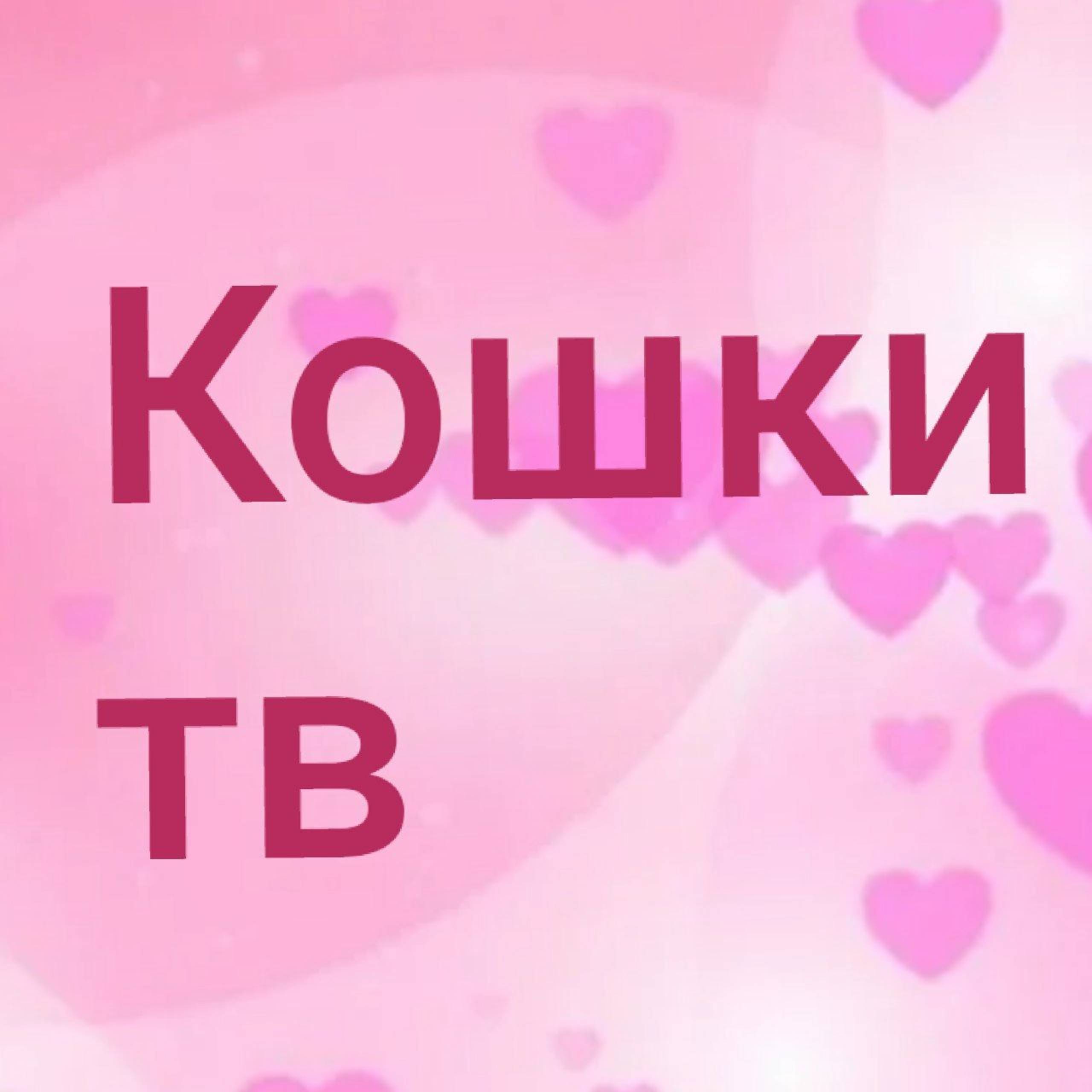 Иконка канала КОШКИ ТВ
