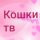 Иконка канала КОШКИ ТВ