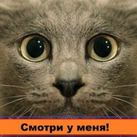 Иконка канала Смотри у меня!