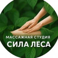 Иконка канала SPA "СИЛА ЛЕСА"