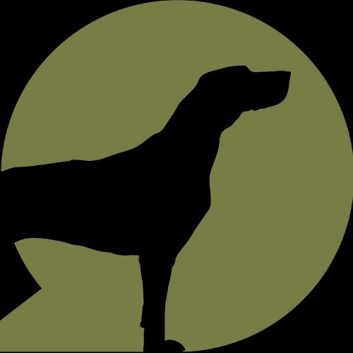 Проект Верное Чутье.