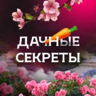 Иконка канала Дачные секреты