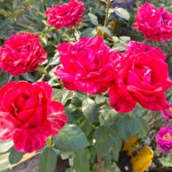 Иконка канала Оксана Плохих