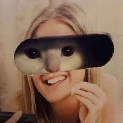 Иконка канала Zmeyka Studio