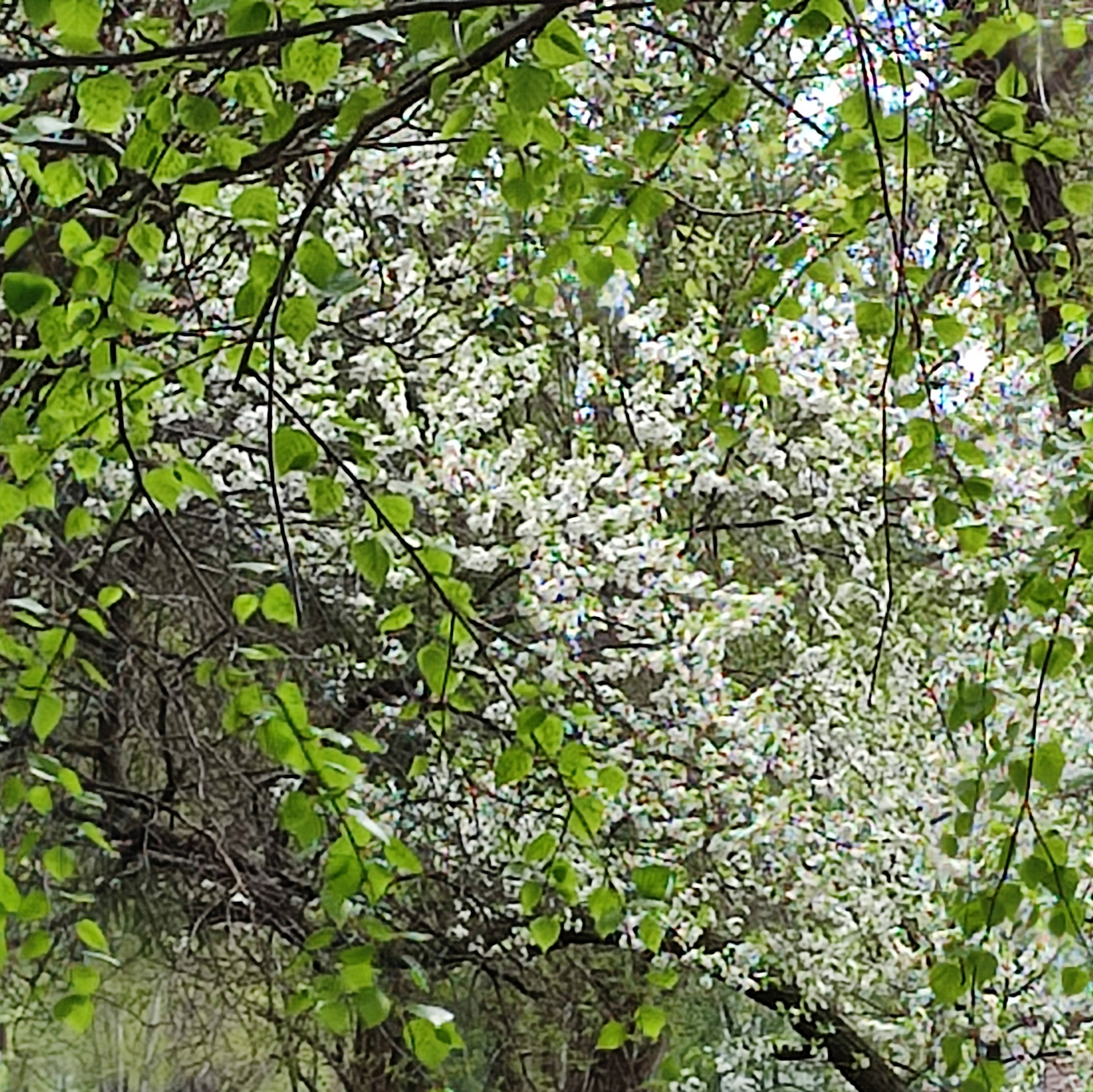 Иконка канала Жизнь не спеша