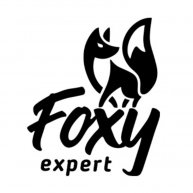 Иконка канала FOXY expert