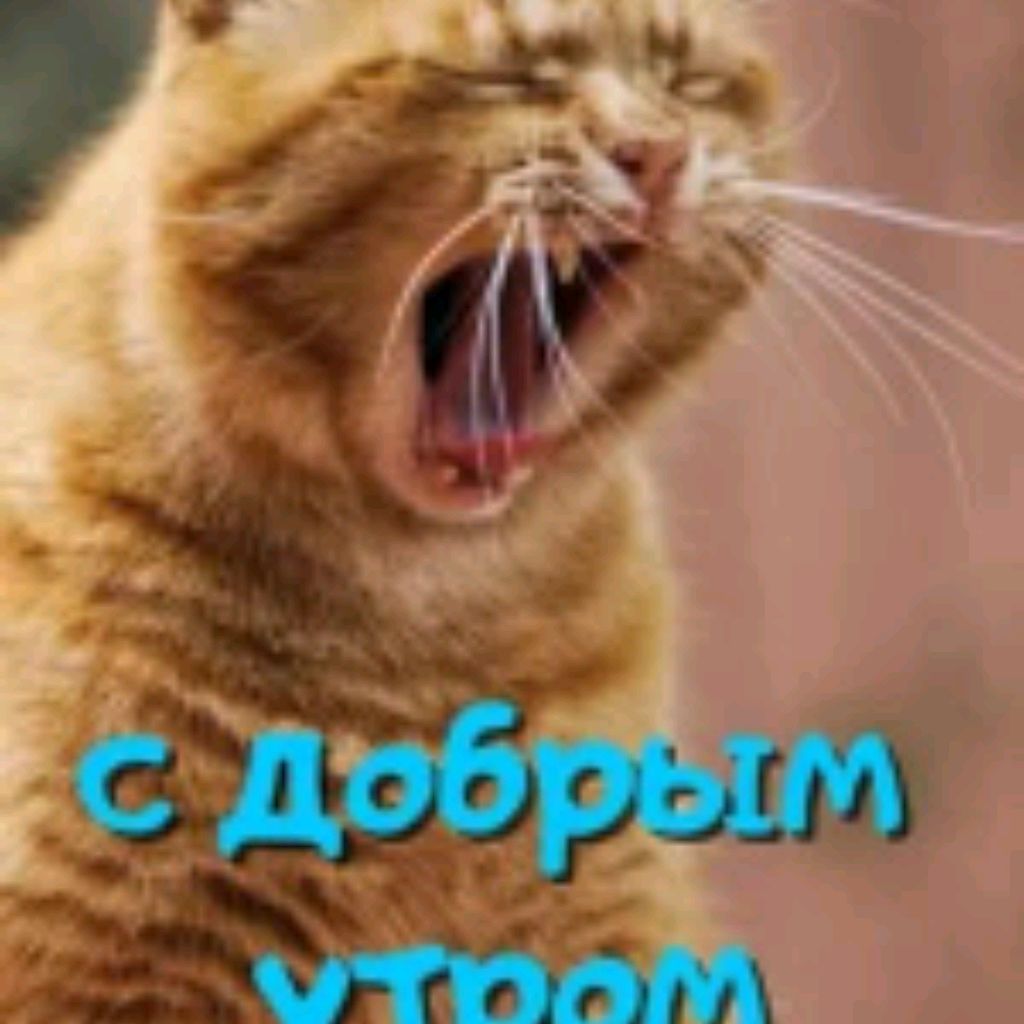 Иконка канала Сильная И Независимая