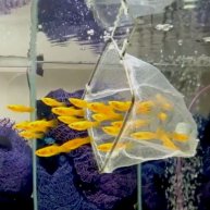 Иконка канала Будни Аквариумиста