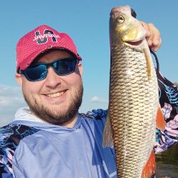 Иконка канала AVS_Only_SpininG