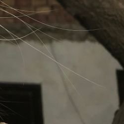 Иконка канала Фото-артики